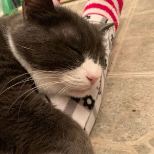 Meet your Posher, Camille